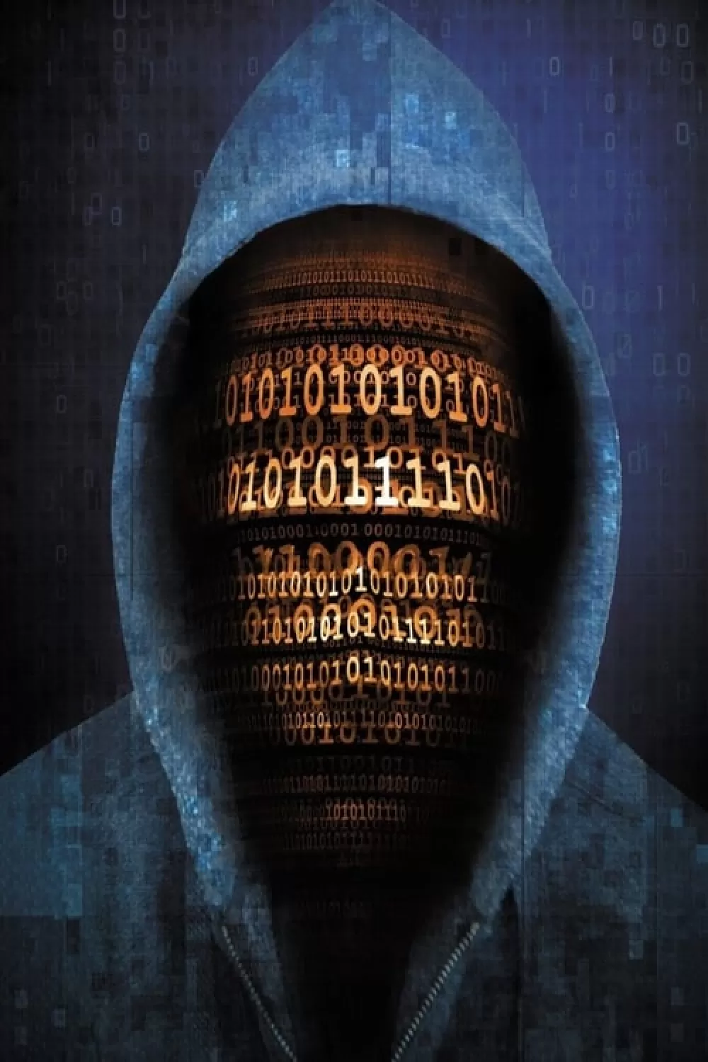 Defeating the Hackers online