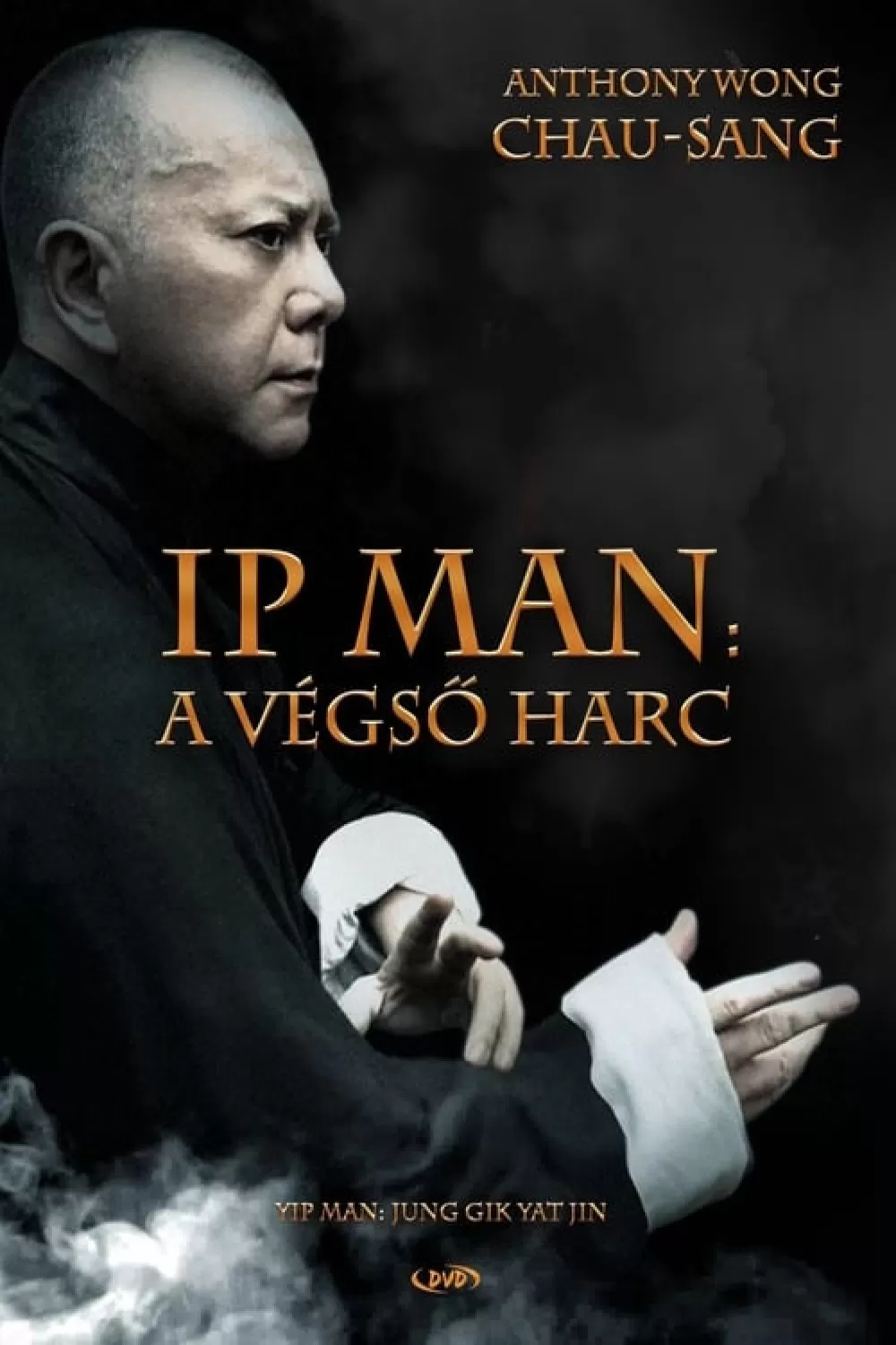 Ip Man: A végső harc online