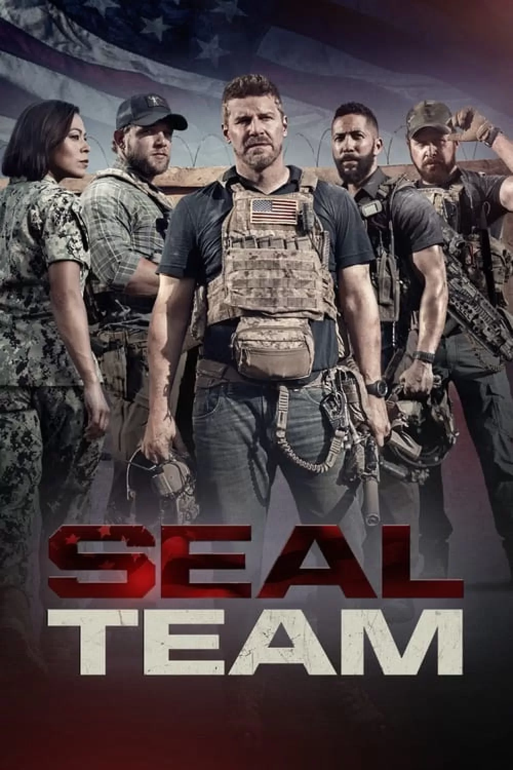 Seal Team online