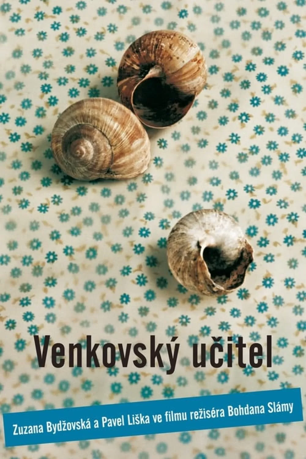Venkovský učitel online