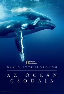 David Attenborough: Az óceán csodája